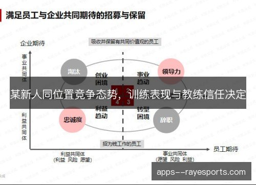 某新人同位置竞争态势,训练表现与教练信任决定 某新人同位置竞争态势,训练表现与教练信任决定